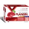 Plangin