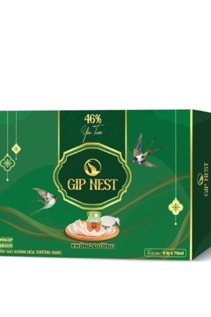 GIP NEST KHÔNG ĐƯỜNG