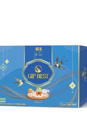 GIP NEST CANXI