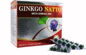 GINKGO NATTO