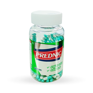 Prednic