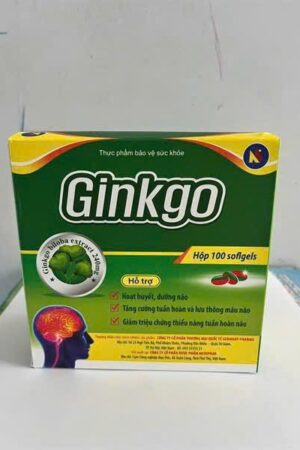GINKGO BILOBA EXTRACT 240MG