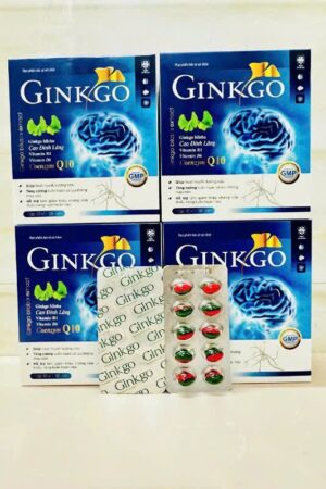 Ginkgo Biloba Extract Coenzym Q10
